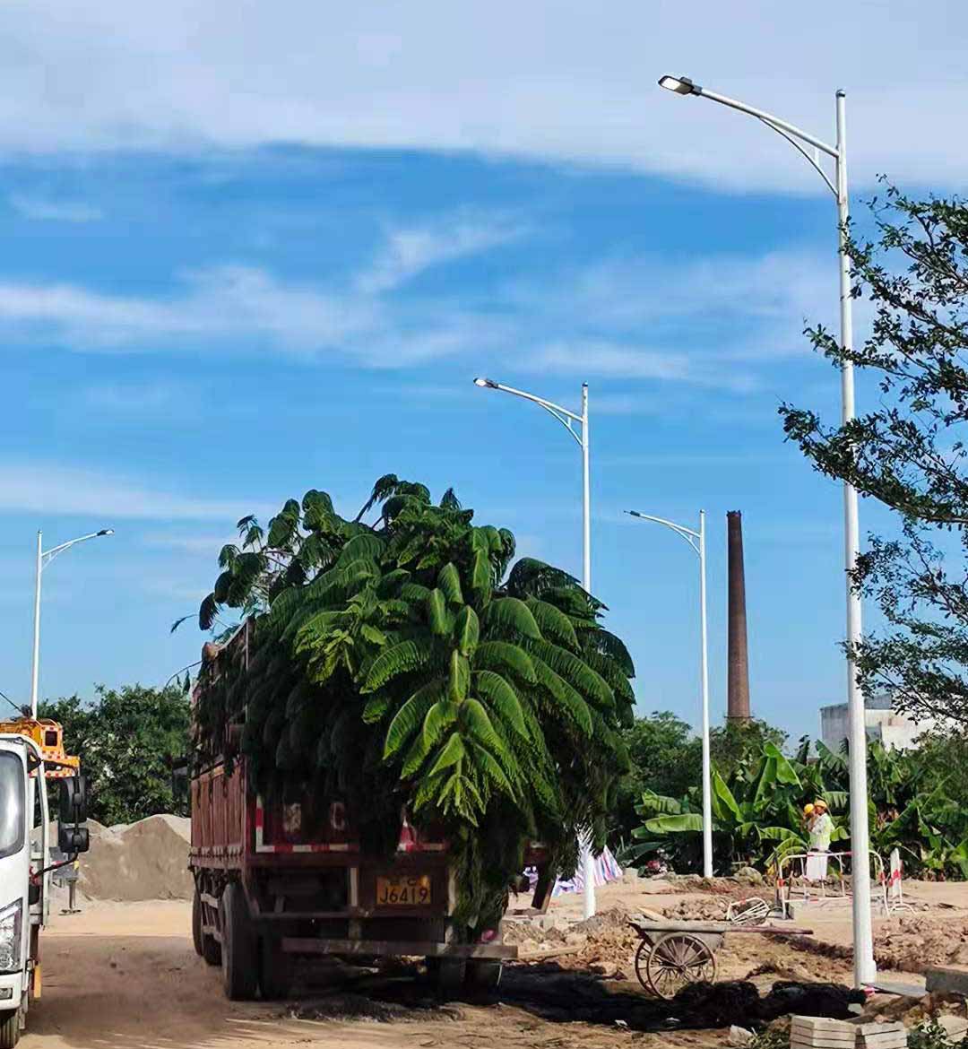 乐动助力东莞洪梅万科星城道路亮化工程